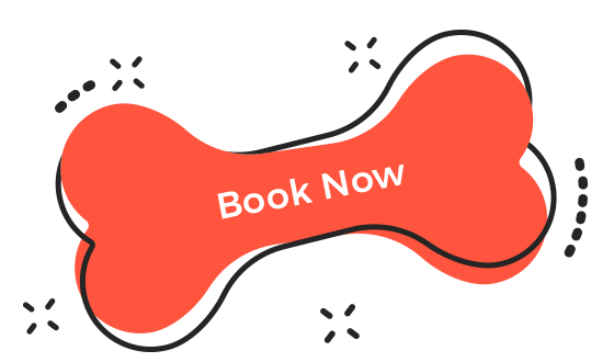 https://kailiostudija.lt/wp-content/uploads/2019/08/book_now.png