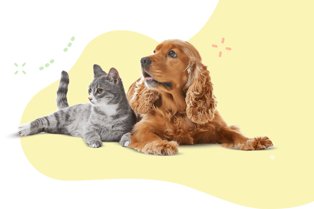 https://kailiostudija.lt/wp-content/uploads/2019/08/hero_image_11.png
