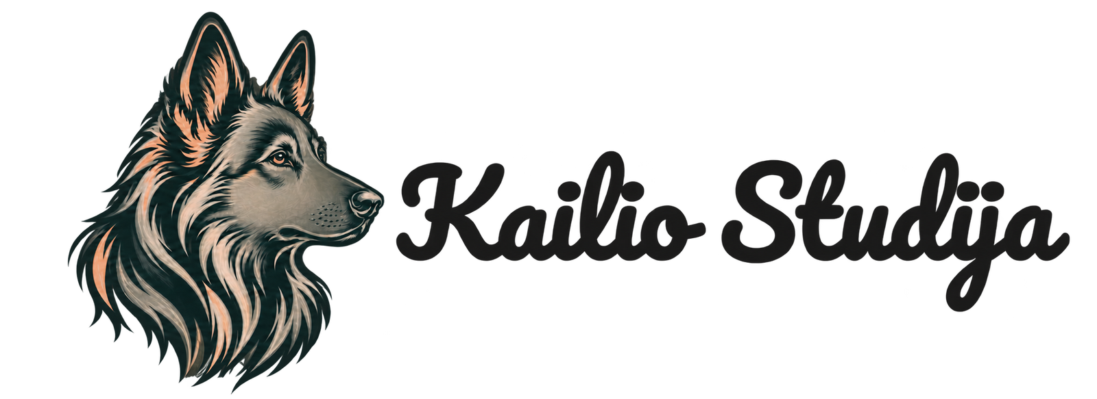 Kailio Studija